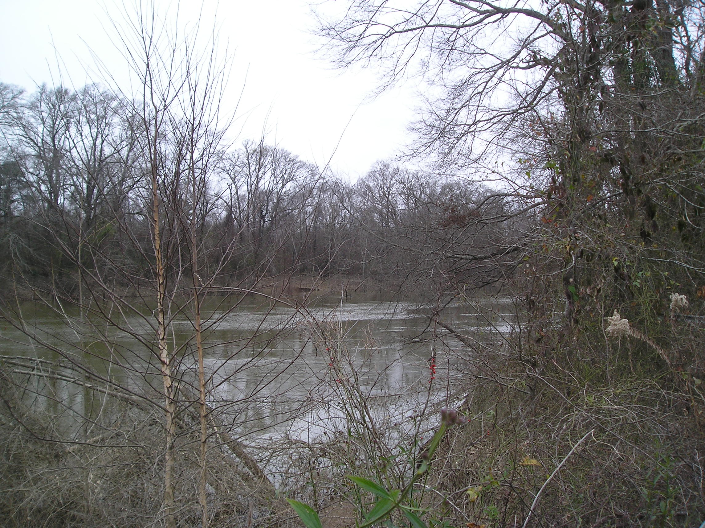 The Ouachita River just north of the Ben Laney Bridge