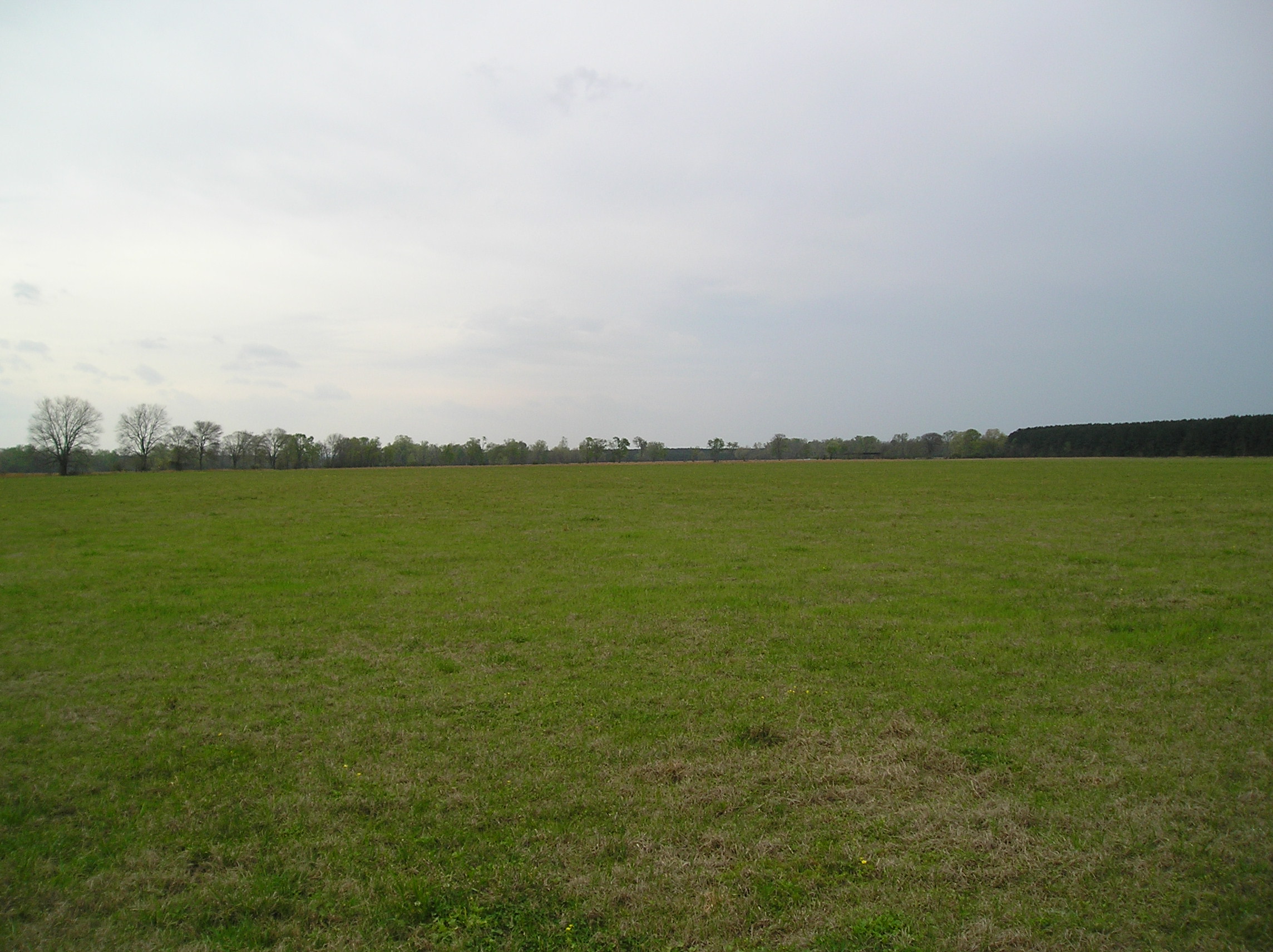 The Prairie D'Ane Battlefield