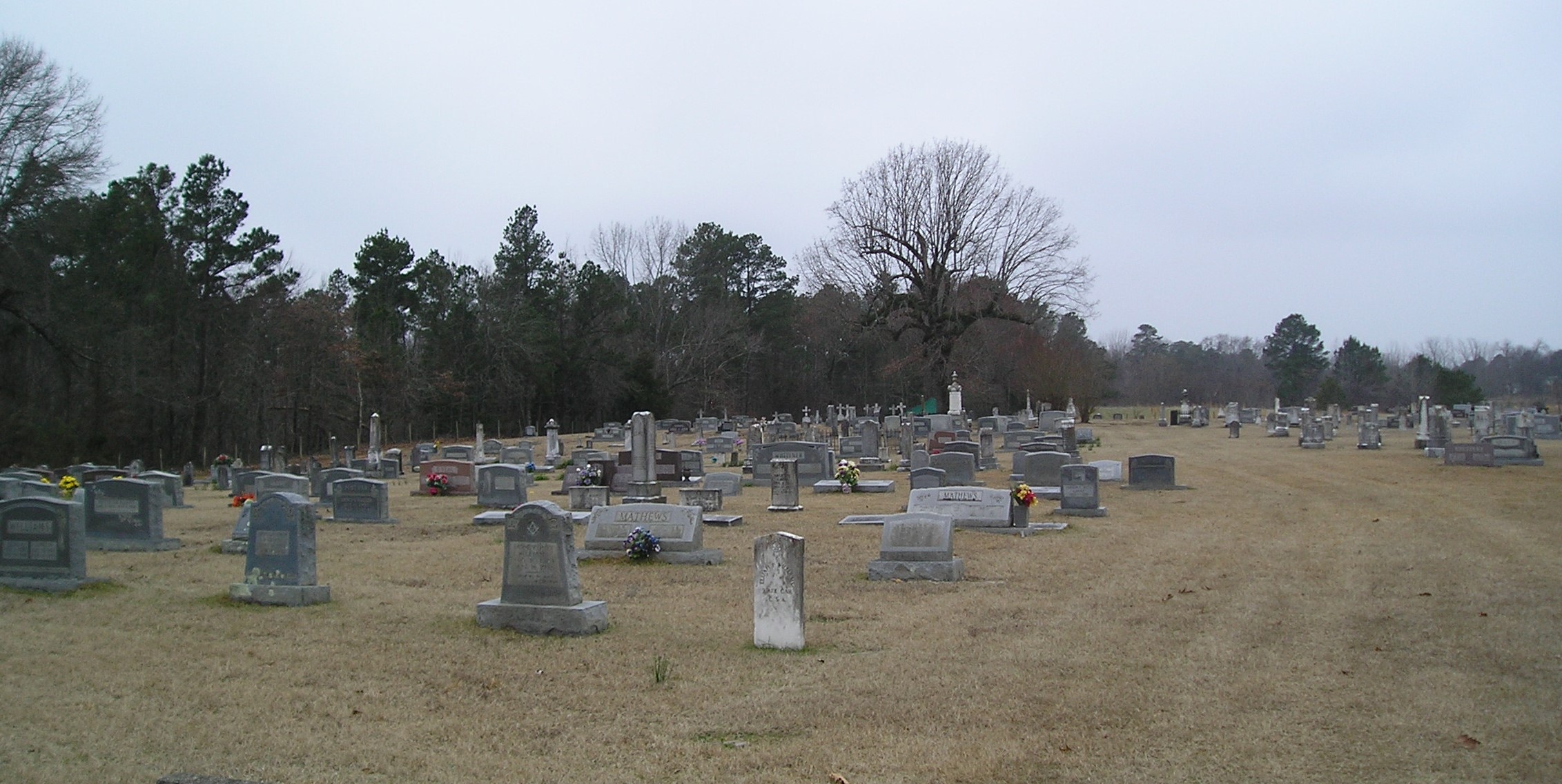 Tulip Cemetery